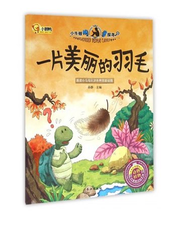 小牛顿问号探寻：一片美丽的羽毛